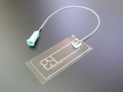 イメピタ（生体試料固定器）