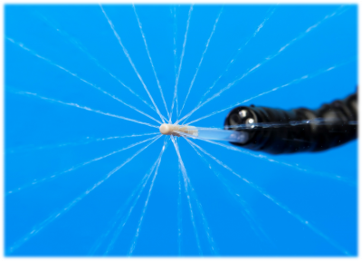 エンドシャワー